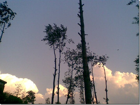 Last Snaps of Year 2066 [Pictures]